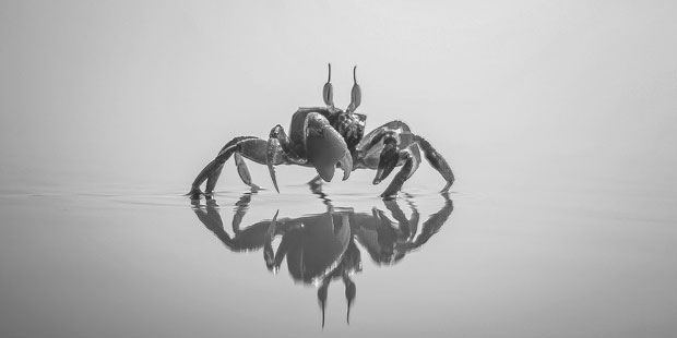 Two Simple Security Concepts with Ajax