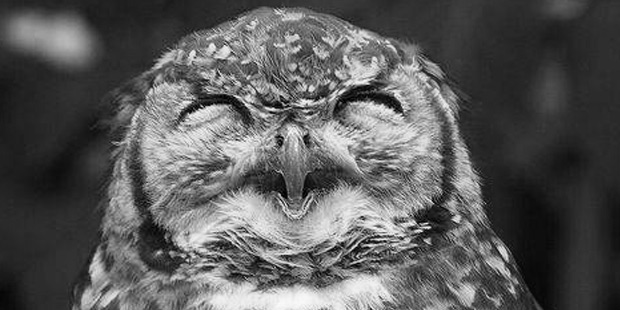 Using Hootsuite to increase your social signals