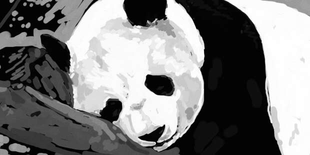 Googles latest Panda update