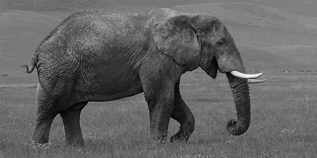 PHP 6 New Features
