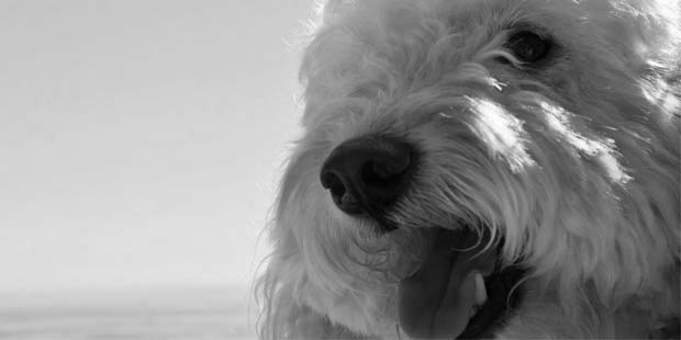 Disabling SSL3.0 v3 for POODLE